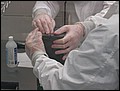 p4290040.jpg
